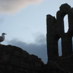 Marcus And Jule's Visit 03/2009