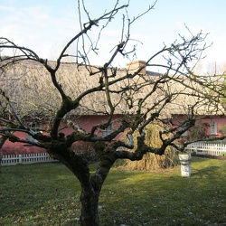 Aunt's Visit 03/2010